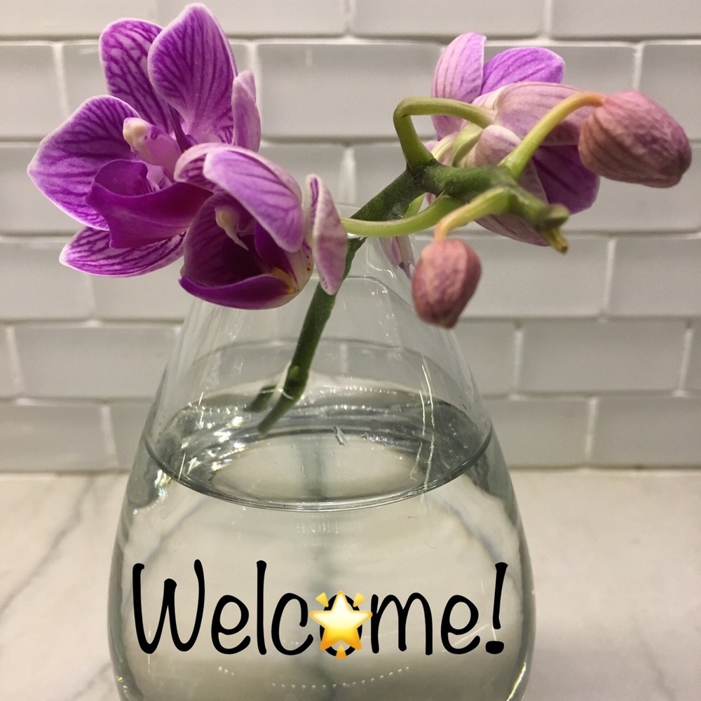 Welcome ALL! Meet your Posher, Johanne